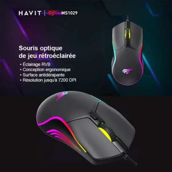 Souris de jeu Havit MS1029 Filaire