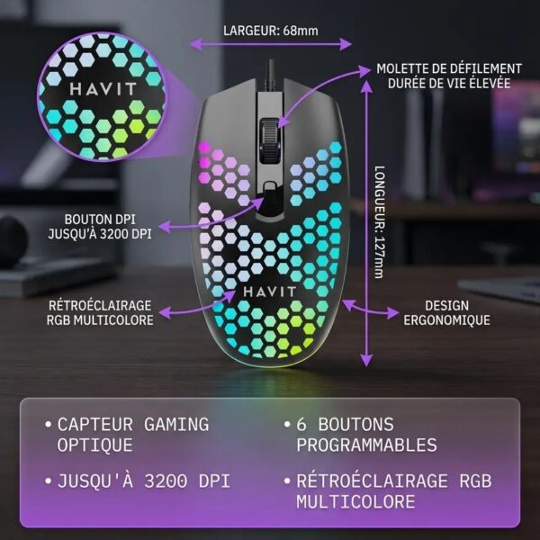Souris filaire MS4254 2400 DPI RGB gaming HAVIT 1.4m